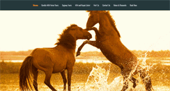 Desktop Screenshot of outerbankstours.com